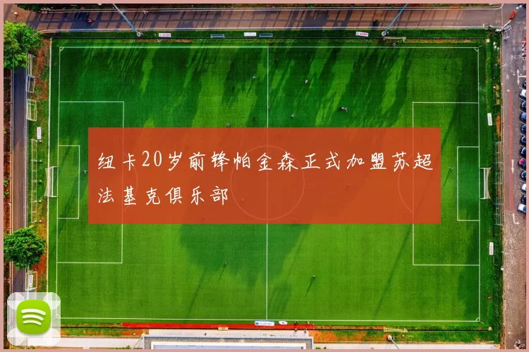 纽卡20岁前锋帕金森正式加盟苏超法基克俱乐部
