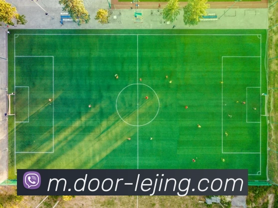 乐竞体育APP 封面图